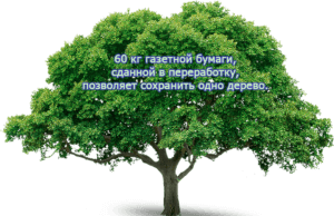 макулатура